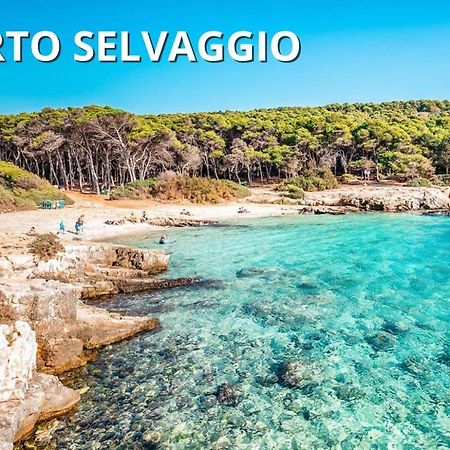 Casa Smeraldo Mare A Sud Di Porto Cesareo Torre Inserraglio Exterior foto